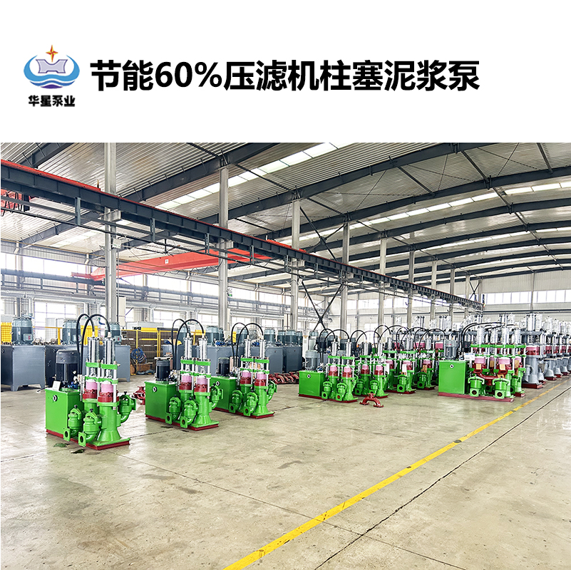 破解污水处理厂污泥输送高能耗的关键设备